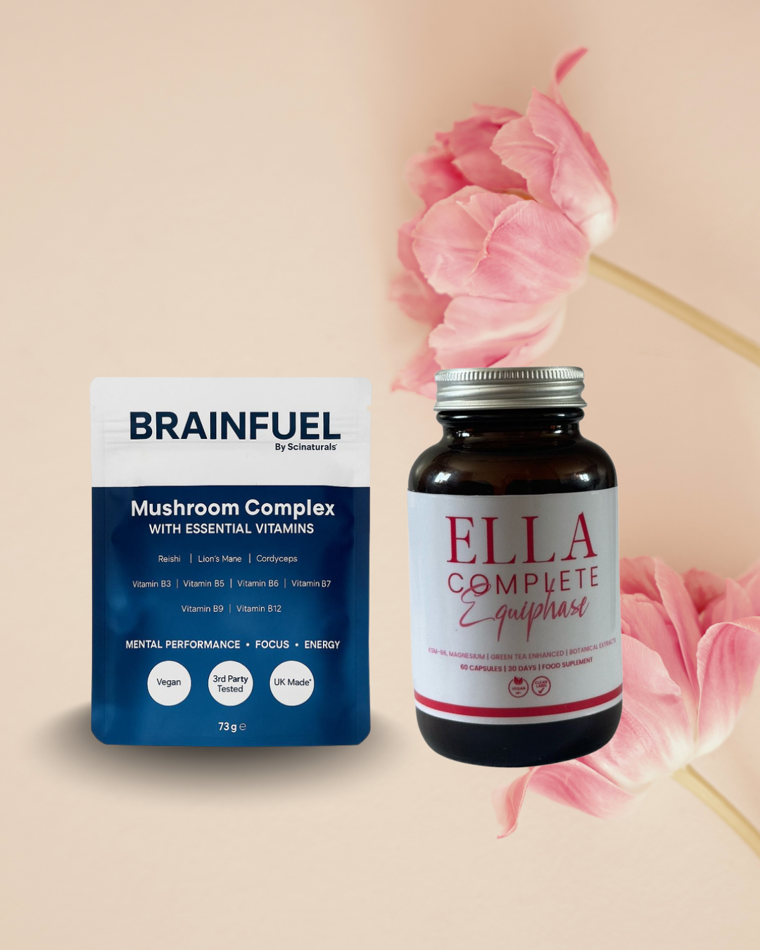 Equiphase & Brainfull